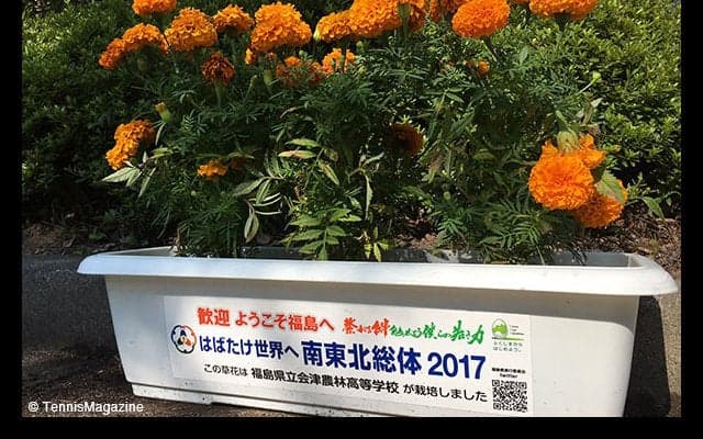 大会6日目、女子シングルス準々決勝、準決勝、女子ダブルス準決勝結果 [南東北インターハイ]