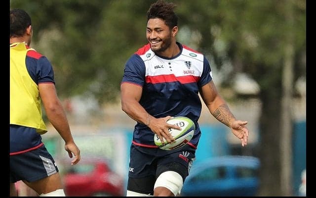  日本代表マフィはメルボルンでもう1年　レベルズと再契約発表 