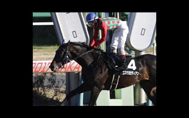 穴党記者が「人気馬そっちのけで推す３頭」がエルムＳで砂嵐を起こす