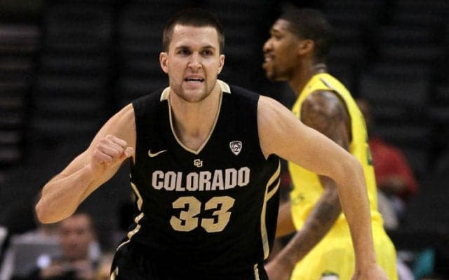 タイプの異なる2人のビッグマン、バーグレンとダフォーを獲得し、チームの方向性が定まった新潟アルビレックスBB