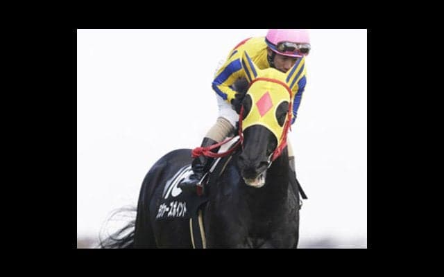 穴党記者は言う。北九州記念は「持ち時計のある、好位差し馬」を狙え