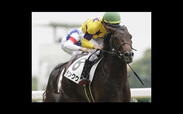 新潟２歳Ｓの勝ち馬に法則あり。穴党記者がピタリの５頭を割り出した