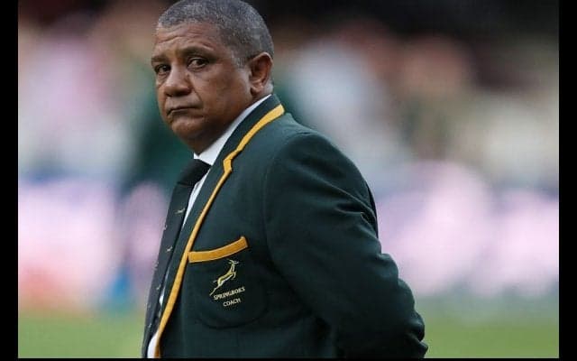  好調スプリングボックス、アルゼンチン代表に連勝 