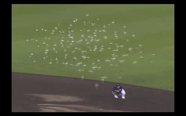 楽天、鳥襲来の珍事後に4点差追いつき引き分け…西武は2位浮上ならず