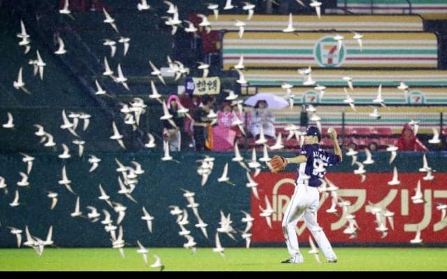 雨＆鳥…、東北楽天が中断後に4点差を追い付いて8対8のドロー