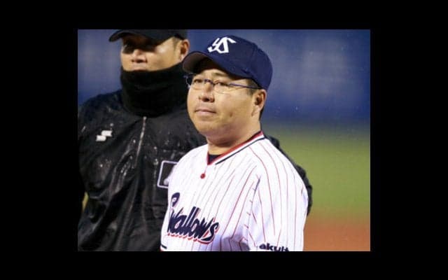 次のヤクルト監督は誰が適任か。燕ファン31人の意見は３人に割れた