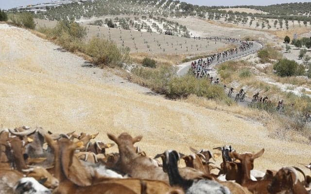 【山口和幸の茶輪記】史上初のツール・ブエルタ連覇にフルームが大きく前進