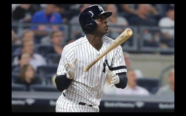 グレゴリアスがジータ-超え25発　ヤンキース遊撃手で歴代単独最多本塁打