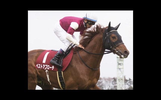 ダービー馬に逆らえない神戸新聞杯も「ヒモ勝負」２頭で配当ウハウハ