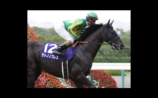 兄は10月の凱旋門賞に挑戦。妹・サトノルーリーにも熱い視線が