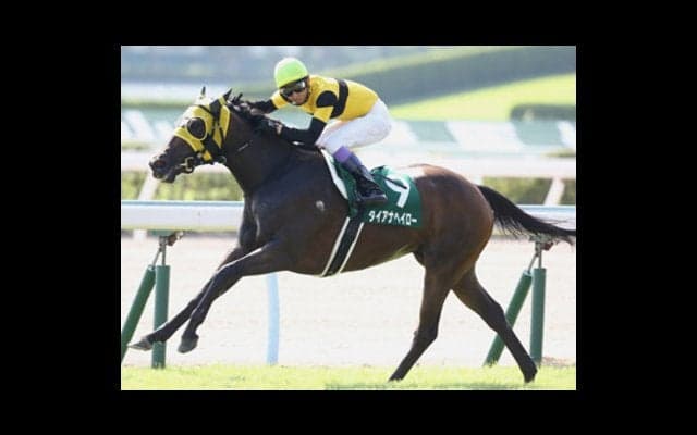 新星馬と古豪馬。スプリンターズＳは「ダ」で始まる２頭が狙い目ダ！