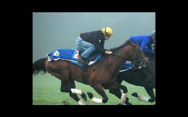 凱旋門賞のサトノダイヤモンドに課題続出。ノブレスよ、アシスト頼む