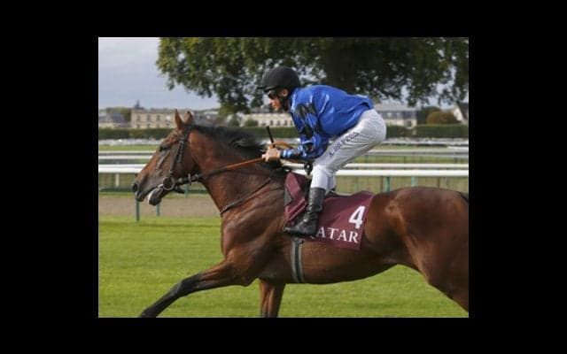  凱旋門賞の「世界が見落とした穴馬」をフランス女性記者がささやいた