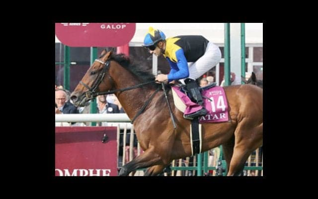 毎日王冠のマカヒキ。復活か、それともダービーで燃え尽きていたのか