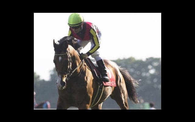 京都大賞典は稼ぐチャンス。穴党記者たちが「この２頭」で一致した！