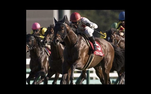 菊花賞の上がり馬、ミッキースワローの「遅れてきた大物」度を検証する