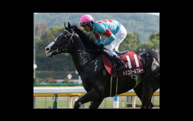 「強い馬」なき菊花賞は、やる気満々のトリコロールブルーに好機到来