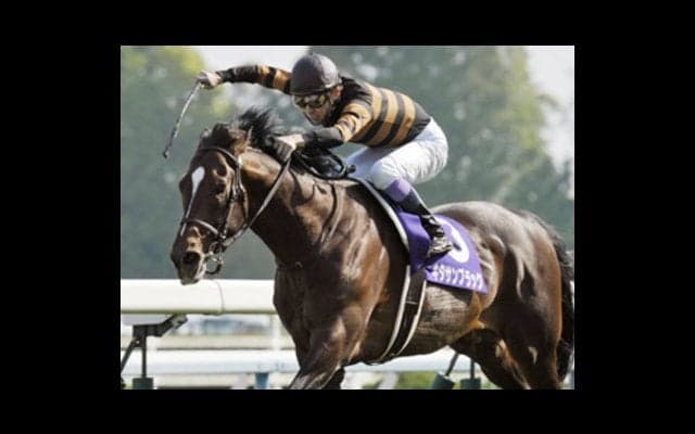 「キタサンブラックが負けるとすれば天皇賞・秋」という記者の真意は？