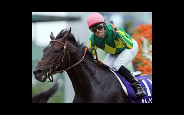 過去２年は度外視。天皇賞・秋はサトノクラウンが道悪をスイスイ勝つ