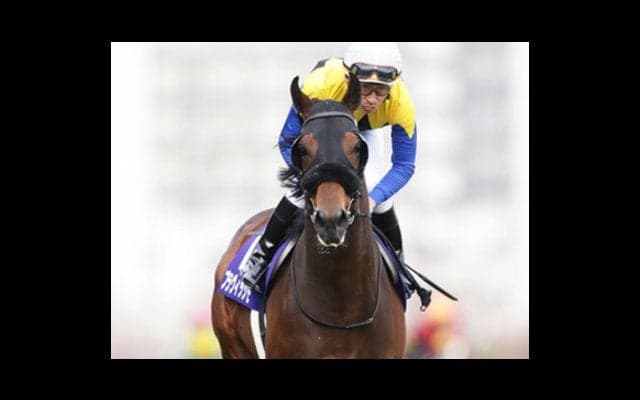 本場イギリスを極めた血が騒ぐ。エストスペリオルに早くも漂う大物感