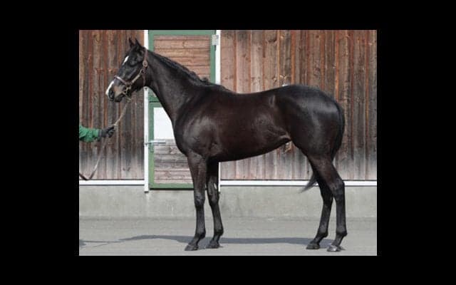 偉大な母、立派な兄を持つシーリア。女王決戦を前にポテンシャル炸裂か