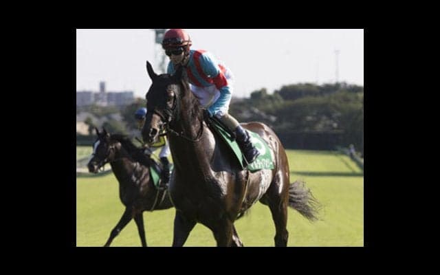 マイルCSに「空前の穴馬が４頭いる！」穴党記者が絶叫する馬名は？