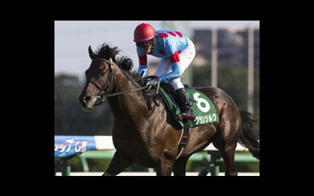 マイルCSは有力馬に隠れてパカパカ走る「人気薄３頭」で懐ポカポカ