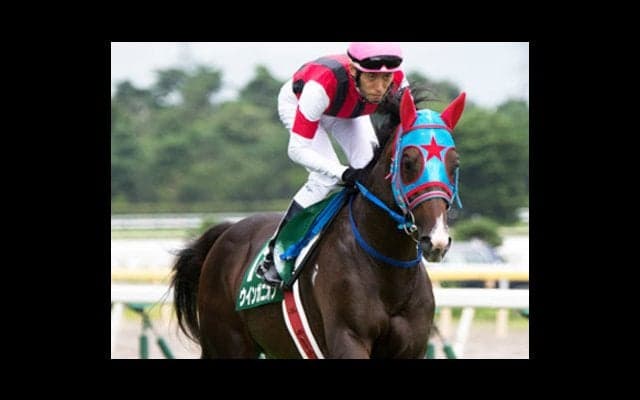 マイルCSだから侮れぬ「夏のマイル王」。有力ＧＩ馬勢に肉薄あるぞ