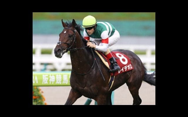 JCでキタサンブラックを倒せるのは、未対戦のレイデオロしかいない