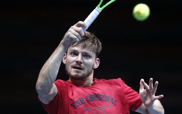 ゴファンがデビスカップでシーズンの最高の締め括りを狙う