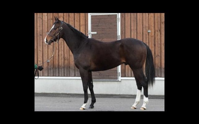 馬名が「世界制覇」。ヴェルテアシャフトは池江調教師も認める超大物