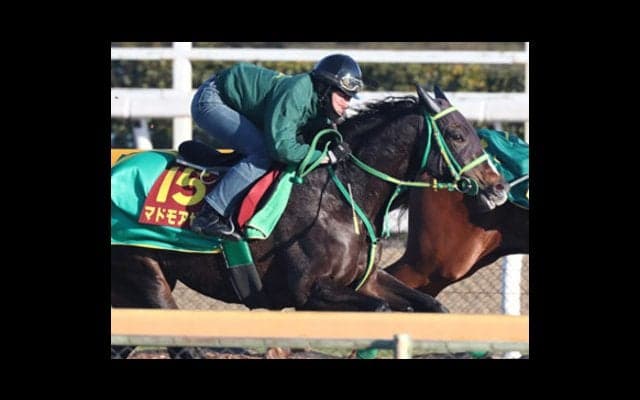 阪神JFは荒れて当然。「気まぐれ少女の穴馬３頭」がボーナス支給だ