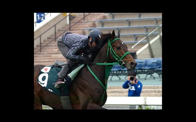 今週は香港だ。「強い日本調教馬」で、レースも馬券も世界に勝つぞ！