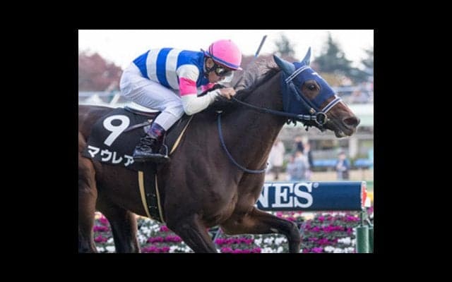 オルフェ娘２頭に待った！阪神JFはディープ娘マウレアに勝機あり