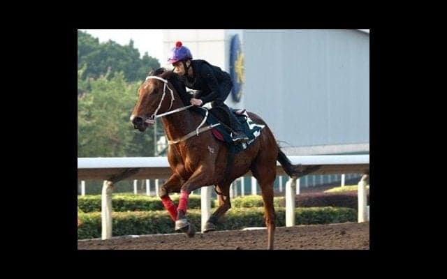 香港競馬は大チャンス。「日本の人気」が見逃す実績馬がゾロゾロいる