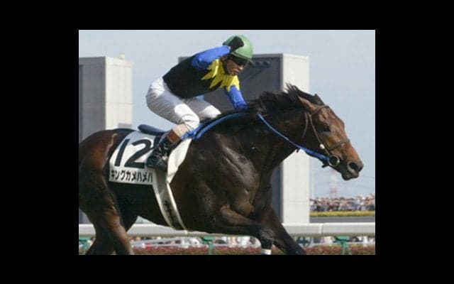 リバティハイツは国際派のキンカメ産駒。三度目の正直でついにデビュー