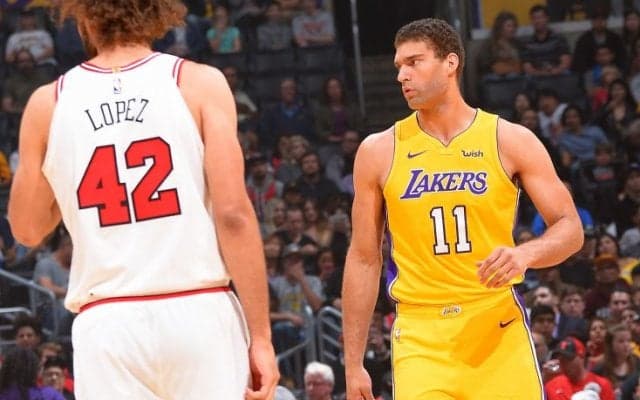 ネコ大好きブルック・ロペス、飼っている猫を山火事から救うためリムジンを手配