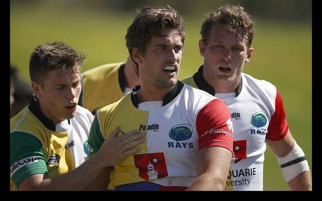  豊田自動織機が選手追加　ワラターズも注目した若きユーティリティBK加入 