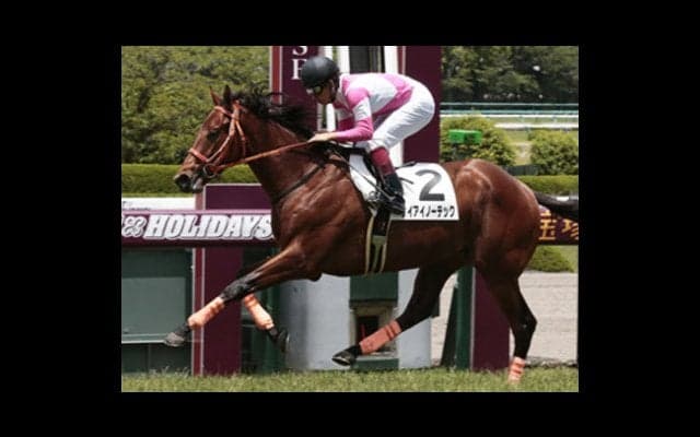 朝日杯FSの人気馬に疑問。穴党記者は鼻息荒く「稼げる２頭」を叫ぶ