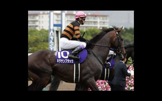 有馬記念が有終の「キタサンブラック祭り」になる、これだけの根拠