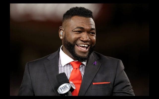 【MLB】通算541発オルティス氏が犬のトリマー!?　米TV番組で意外な他業種に挑戦