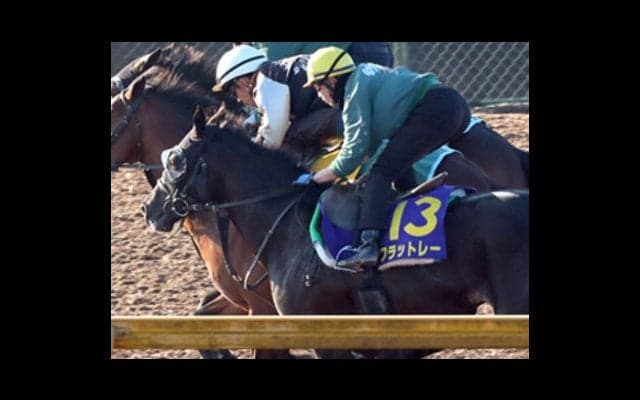 ホープフルＳ「穴党記者が熟考した４頭」で、この１年を大逆転勝利だ