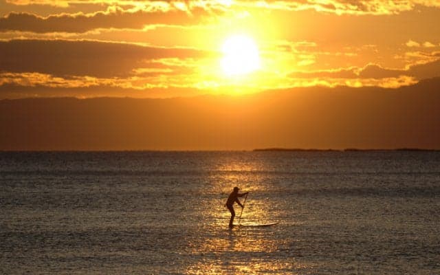 サーファーじゃなくて、サッパー!?┃連載「甘糟りり子のカサノバ日記」#4