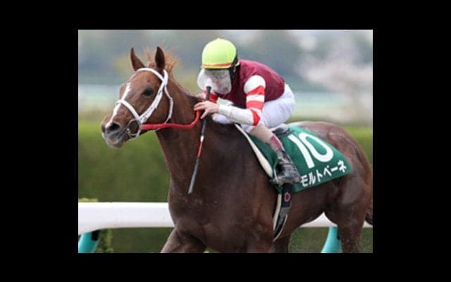 波乱続きの東海Ｓ。穴党記者が推すのは「えッ!?」と驚く超穴馬ばかり