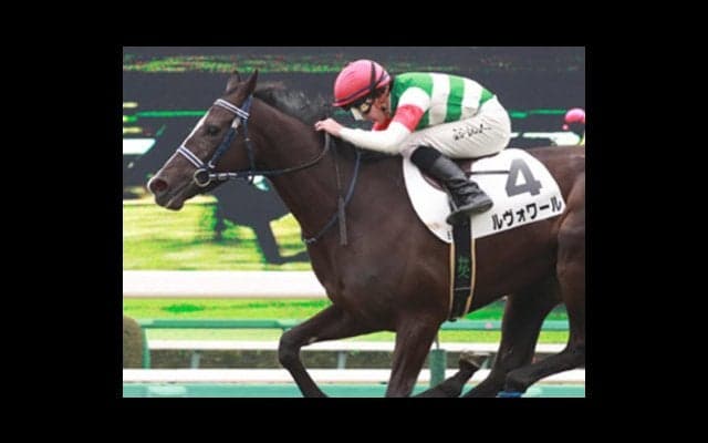 資質はＧＩ級のフィエールマン。陣営の願いは「とにかく無事で…」