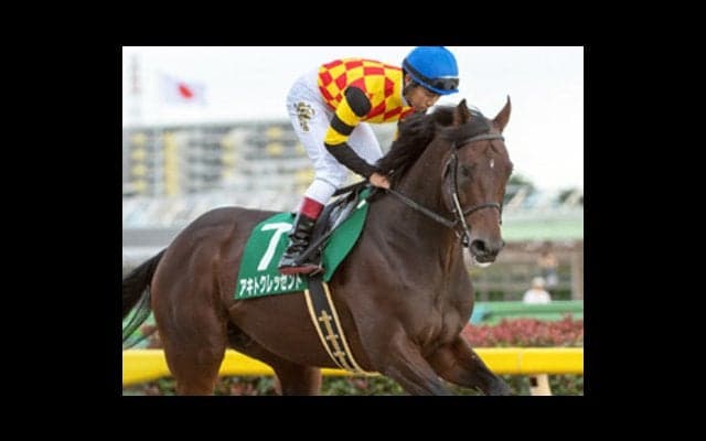 根岸Ｓは有力３頭に、新鋭・荻野極のアキトクレッセントが割って入る