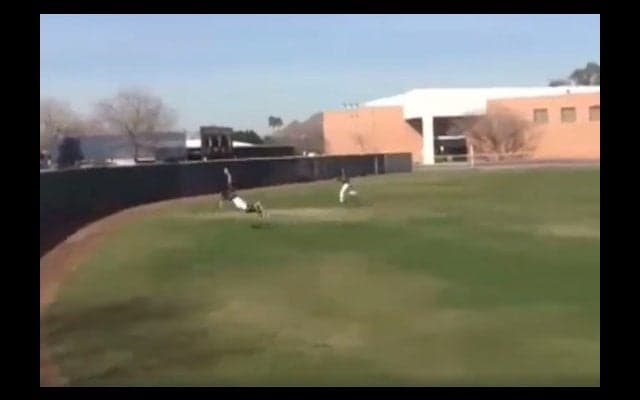 まだ1月なのに…米で早くも「今年最高の捕球」が誕生!?　「まるで魔術のよう」