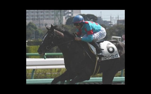 過去の勝ち馬ソックリ。きさらぎ賞はグローリーヴェイズで間違いなし