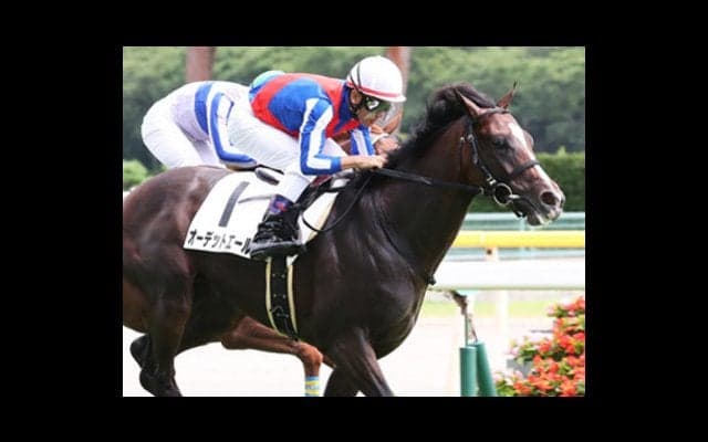 今の京都はディープ産駒に難。きさらぎ賞は「ジワ伸び２頭」が大正解