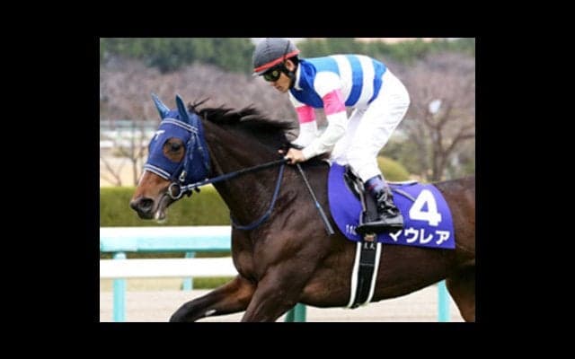 全姉アユサンに続け。桜花賞の姉妹Ｖを狙うマウレアは姉より強い体質